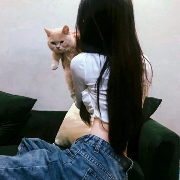 我的天使2019